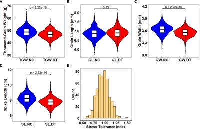 Genome-wide association study of yield-related traits in common wheat (Triticum aestivum L.) under normal and drought treatment conditions